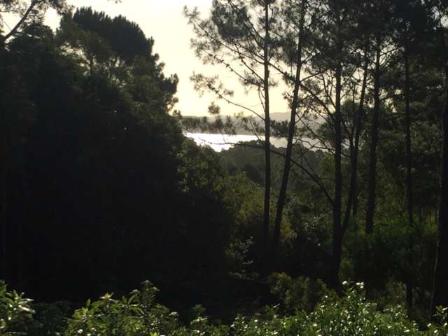 Información de TERRENO AZ145 de inmobiliaria AISPURU en el barrio PUNTA BALLENA 
 Excelente oportunidad de inversión, con una ubicación y vista a Laguna del Sauce excepcional. 3 Terrenos linderos a Arboretum Lussich y conectados a ruta 12. Cuentan con servicios e instalaciones de luz y agua.  