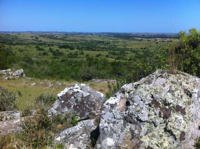 Información de CHACRAS AZ77 de inmobiliaria AISPURU en el barrio ZONA RURAL 
 En lo más alto de la Sierra de Garzón se encuentra esta chacra única de 10 hectáreas,  de geografía quebrada, arbolada con monte abovedado de Coronillas, piedra,  monte autóctono, manantial natural y  la más espectacular vista panorámica a la Sierra y el  Pueblo Garzón. Más de 250 metros sobre camino a la Sierra de Garzón con una altura máxima de 171 metros sobre el nivel del mar . Embarcadero de ganado .  A tan solo 7 kilómetros del pueblo Garzón y 42 kilómetros de José Ignacio. Posibilidad de fraccionar la chacra en 2 de 5 hectáreas. Apta para Olivos y/o viñedos. 