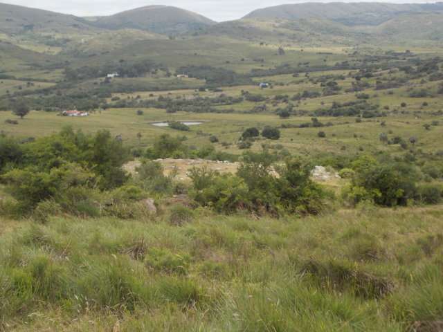 Información de CAMPOS SA349 de inmobiliaria SERGIO & ANDREA en el barrio ZONA RURAL 
 Campo de 11 has sobre camino , a 60 km de Punta del Este, muy buen acceso a tan solo 5 km de ruta 39, pintoresco, arroyito con espejo de agua. 
