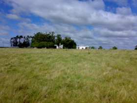 Información de CAMPOS VM2 de inmobiliaria VISTALMAR en el barrio LAGUNA GARZON 
 Muy buen campo productivo de 103 hectáreas, entre ruta 10 y ruta 9, a tan solo 25 Km. de José Ignacio y a 12 Km. de Garzón. 480 mts. sobre camino departamental y 480 mts. sobre arroyo Garzón con 300 mts. de monte autóctono. Montes de Eucalyptus y cañada con agua permanente. Casa antigua reciclada y casa nueva, galpon, alambrado en buenas condiciones, e instalaciones para manejo de ganado: cepo, tubo y brete de curupay. Aljibe y pozo de manantial de 70 mts. de prof. Lejana vista a la Laguna Garzón. Coneat 120 