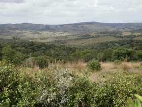 Información de CAMPOS VM37 de inmobiliaria VISTALMAR en el barrio PUEBLO GARZON 
 Espectacular campo de 145 hectáreas 9342 mts., formado por dos fracciones de 50 Hect. 0097 mts. y 95 Hect. 9245 mts. 
Acceso por camino departamental en muy buen estado, a tan solo 23 Km. de el Pueblo Garzón, 28 Km. de Rocha, 58 Km. de José Ignacio, 71 Km. de San Carlos y 83 Km. de Maldonado y Punta del Este.
Permite explotación ganadera, cultivo de olivos y forestación entre otras actividades.
Su geografía es quebrada, con montes nativos, variada flora autóctona y arroyo con agua permanente.
Se ubica en un punto alto por lo cual tiene espectaculares vistas.
Su cercanía al Pueblo Garzón y José Ignacio hace que también el campo tenga potencial para un desarrollo turístico.
 