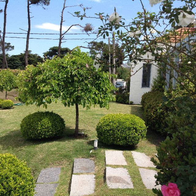 Información de CASAS EA140 de inmobiliaria ALMA DE MAR en el barrio MONTOYA 
 Casa en venta y alquiler con una ubicación excelente en Montoya con vista al mar y al bosque.
Consta de 4 dormitorios, 3 baños (ppal en suite) 
En planta alta, gran living, comedor, cocina, galería con parrillero, piscina y un gran jardín. 
Dependencia de servicio completa.
 
