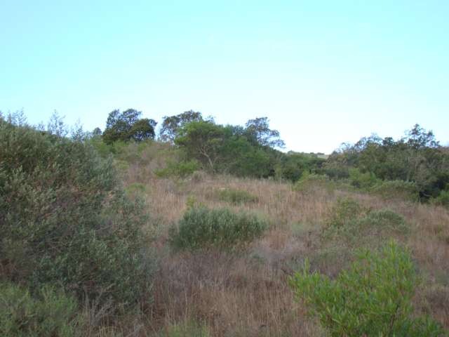 Información de CHACRAS PB1820 de inmobiliaria PUNTA BALLENA en el barrio PUNTA BALLENA 
 Excelente chacra en zona de sierras. Cuenta con 17 hectareas sobre la sierra con espectacualres vistas de 360º .
Rodeada de viñedos en un entrono muy agradable.
Buen tajamar, servicios en la puerta.
Se vende el total o en dos fracciones 8,5 hectareas cada una. Consulte ! 