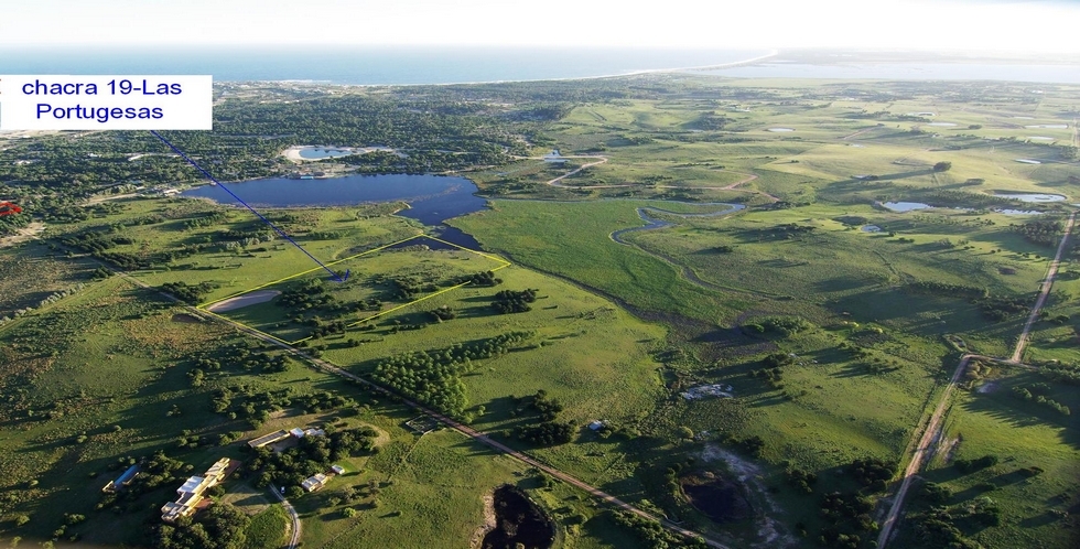 Información de CHACRAS RN3042 de inmobiliaria IGNACIO RUIBAL en el barrio JOSE IGNACIO 
 Chacra de 5 hectareas con orilla de Laguna Escondida a 5 minutos del Pueblo, forestada con pinos y arboles nativos, laguna interna, fácil acceso, vista al mar. 